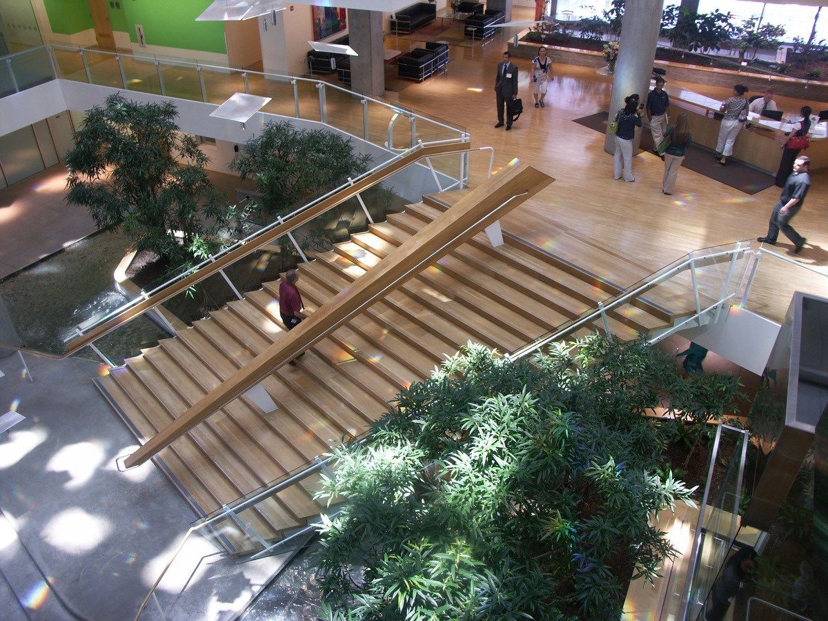 The monumental stair seen from above in its atrium: bamboo, a reflecting pool, a reception desk, the wood rail running the length of the flight, people small
