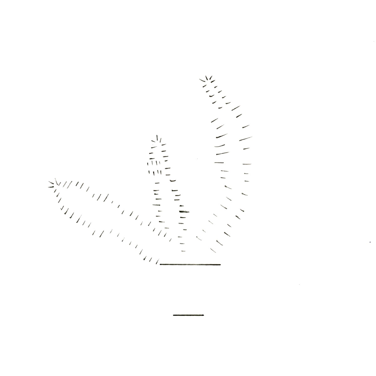 Dense feathered strokes forming three fronds