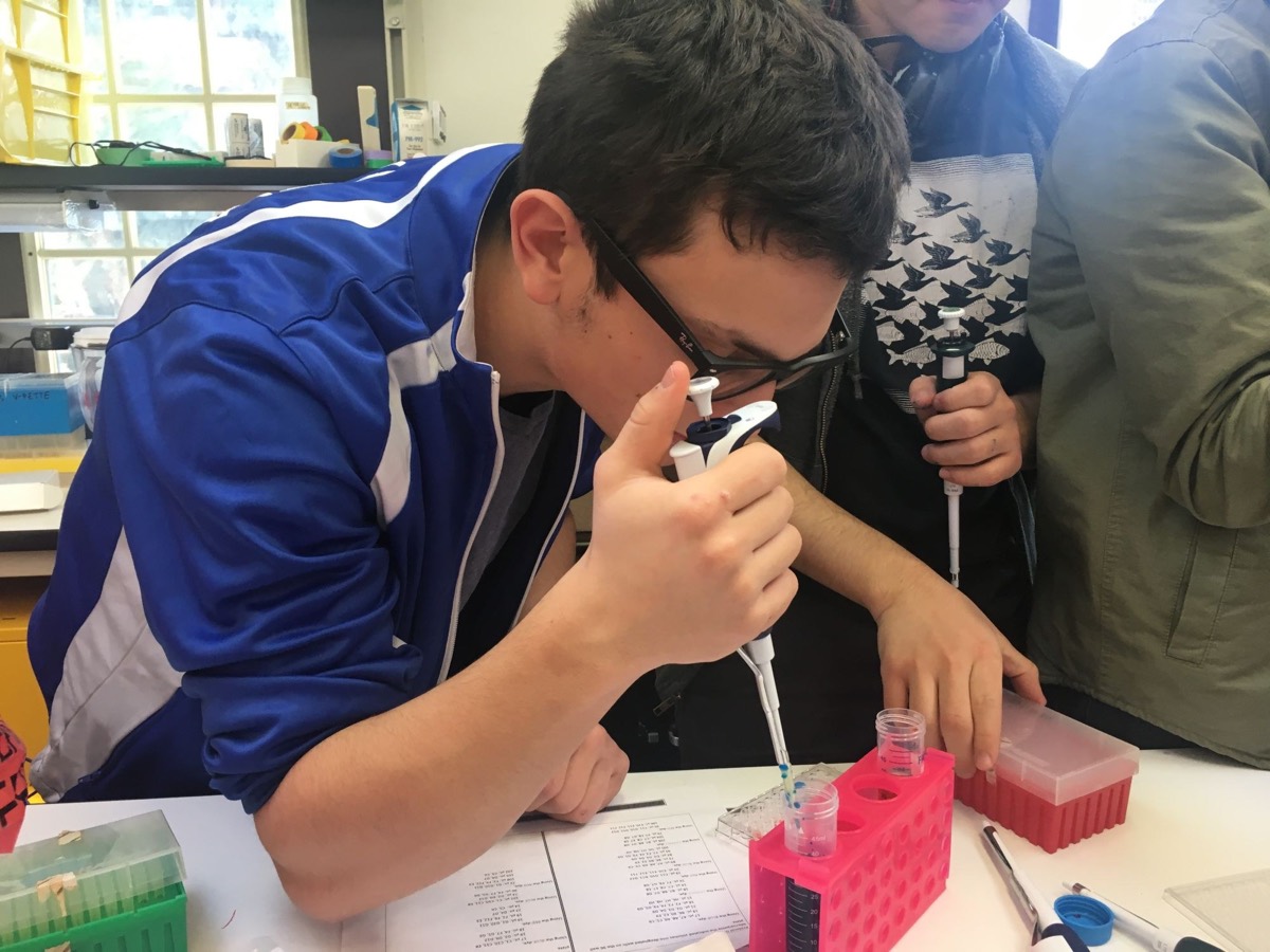 Two students pipetting at a lab bench