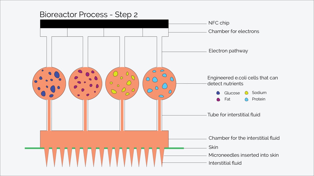 The same diagram, the next state