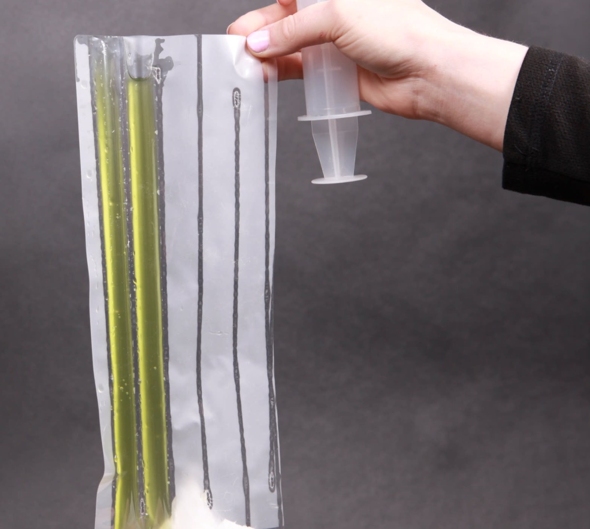 A vacuum-sealed pouch of green algae held in a hand