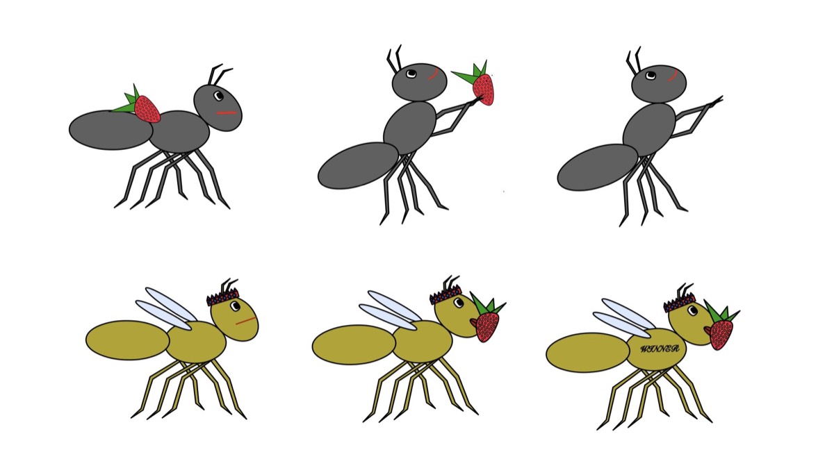 Six drawn ants, grey and yellow, in different poses