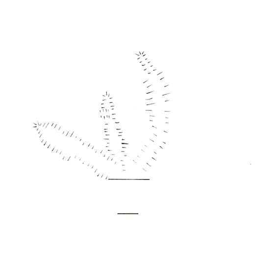 50+ lines