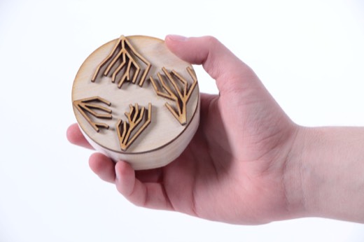 The object, in hand