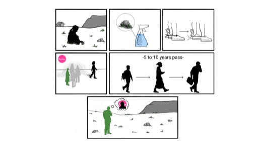 Storyboard
