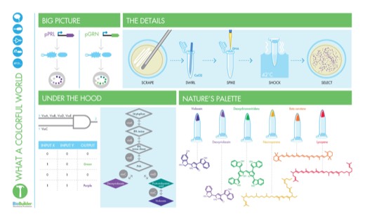 Lab curriculum