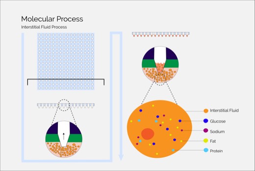 Molecular process