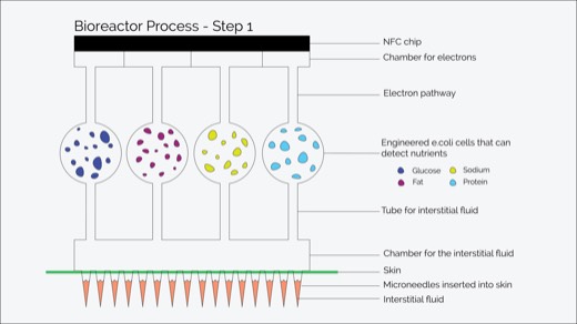 Bioreactor, step 1