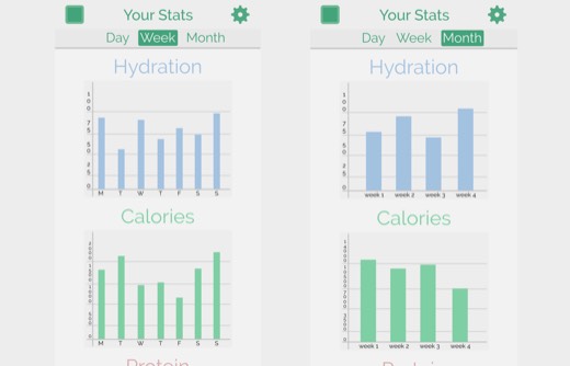 The app, week and month