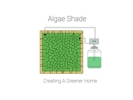 Algae Shade